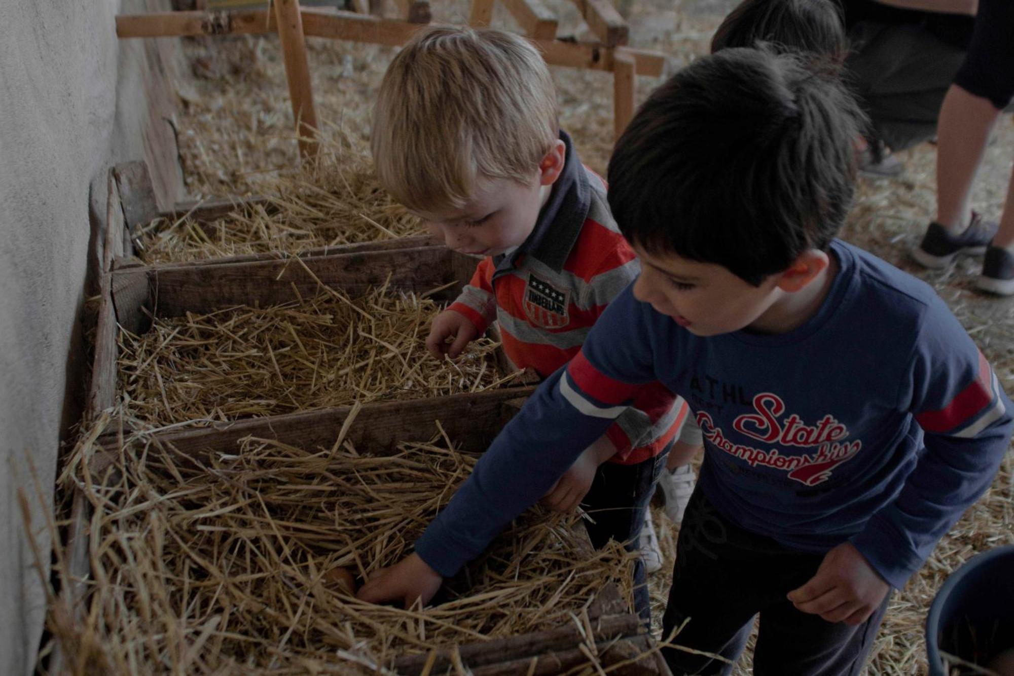 Hotel Ecologic Vinyols Camp Vinyols i Els Arcs Esterno foto